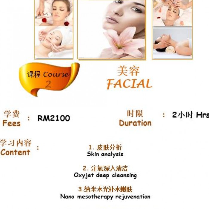 Online Facial Course